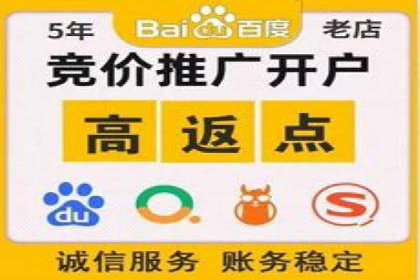 某公司通过竞价SEM优化搜索引擎排名案例
